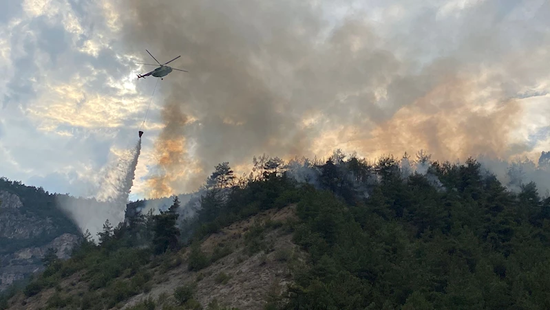 Karabük’te orman yangını (2)