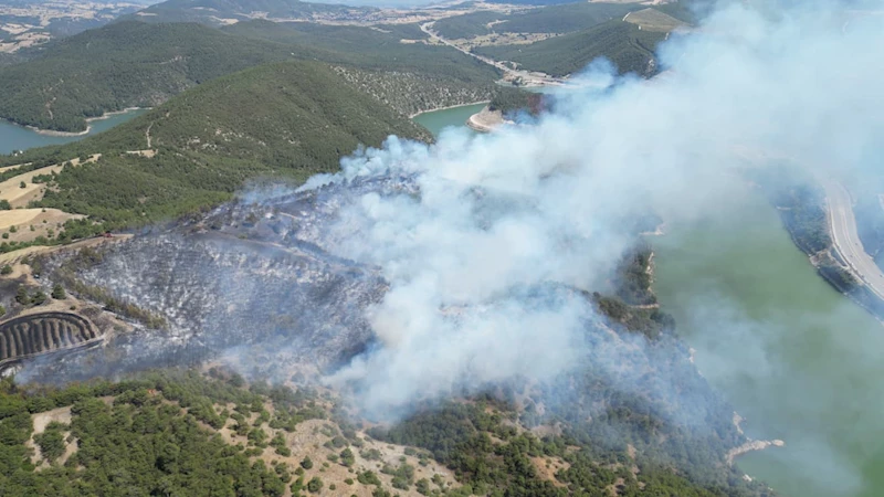 Tokat’ta orman yangını / Ek fotoğraflar