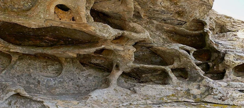 Aydın
