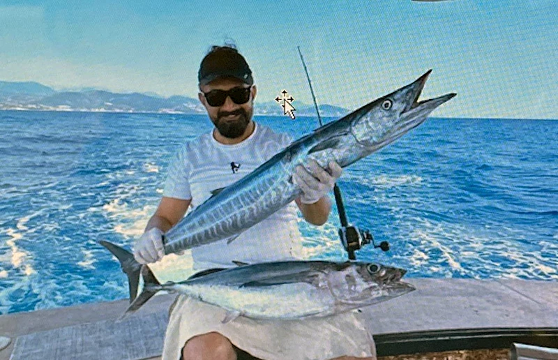 Akdeniz tropikalleşiyor; Kızıldeniz kökenli balık sayısı 72