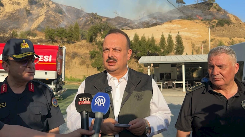 Aydın Efeler