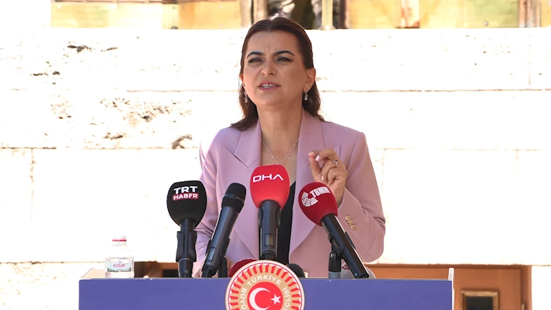 DEM Parti