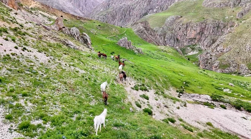 Munzur Dağları