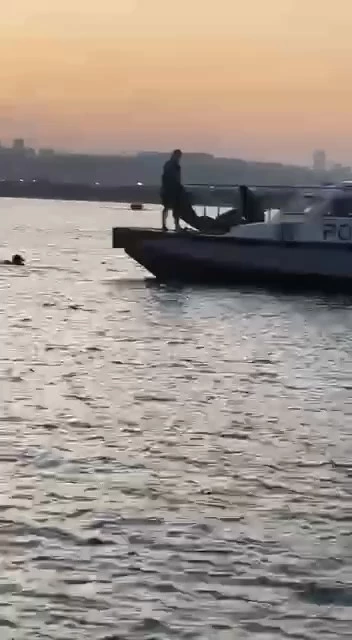 İstanbul - Küçükçekmece’de denizde hareketsiz kişi ihbarını araştıran ekipler, hayvan bağırsağı buldu