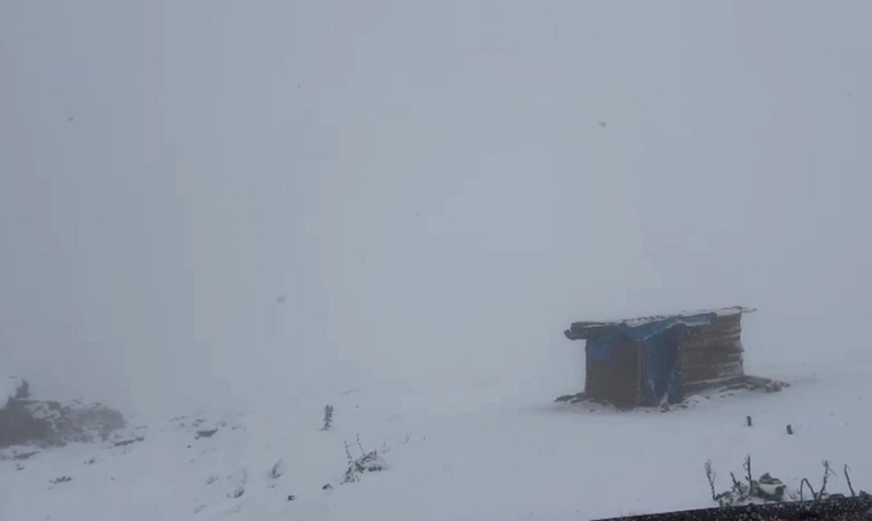 Ardahan