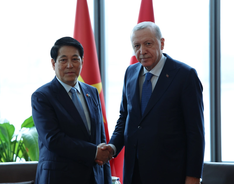 Cumhurbaşkanı Erdoğan, Vietnam Devlet Başkanı Cuong ile görüştü