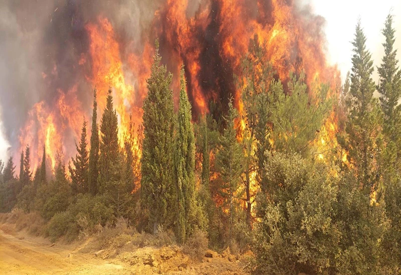 Çanakkale